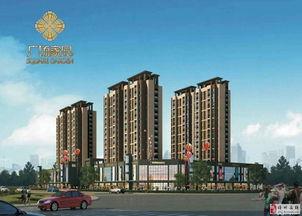 儋州家园广场爆料案件视频,真相大白，疑云散去  第2张